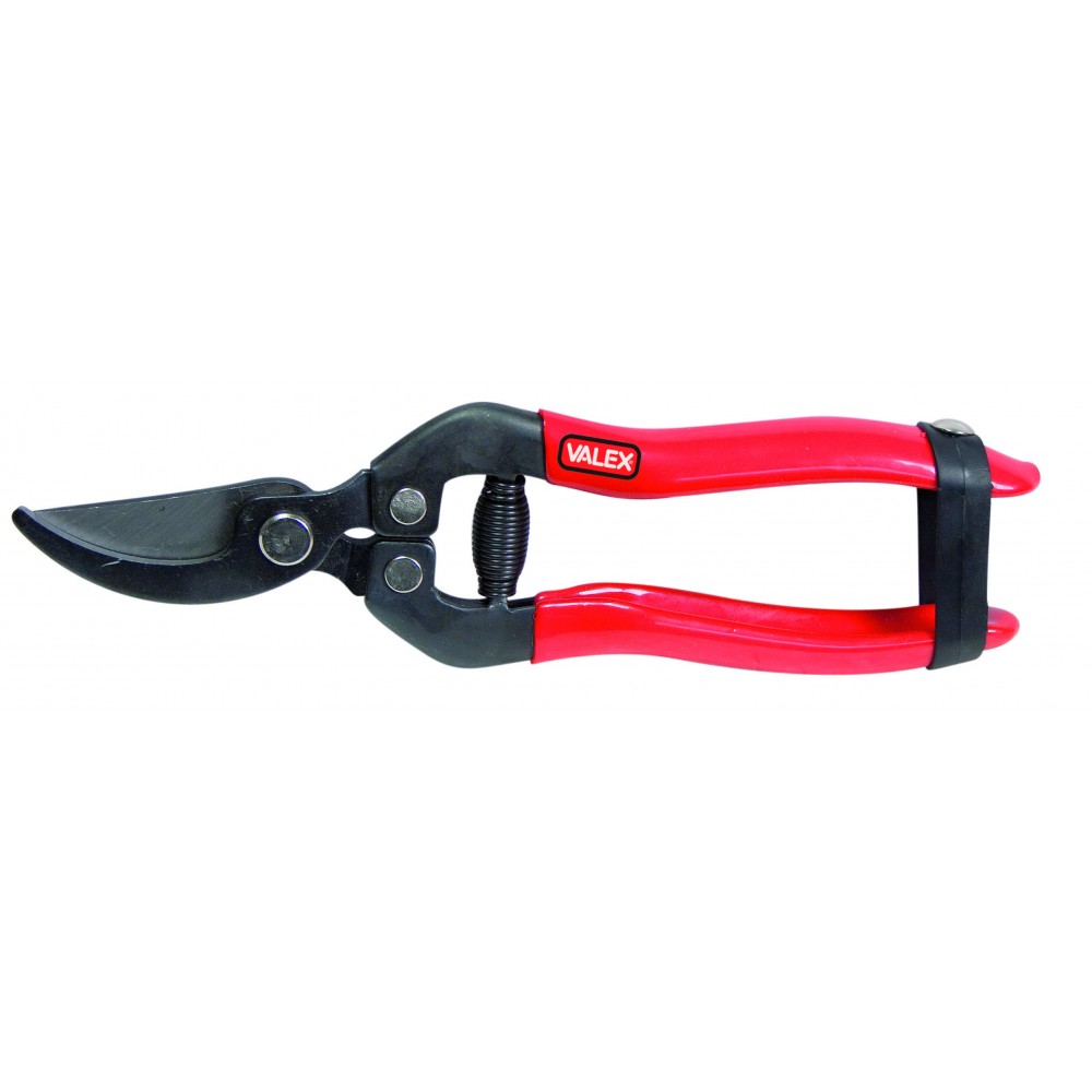 FORBICI PER FIORI LAME CURVE