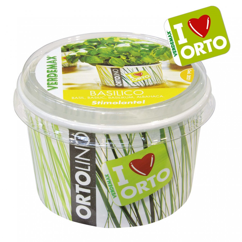 ORTOLINO BASILICO