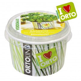 ORTOLINO BASILICO