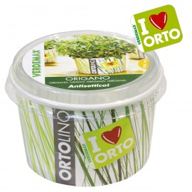 ORTOLINO ORIGANO