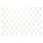 TRALICCIO ESTENSIBILE IN PVC M 2,0X1,0 BIANCO